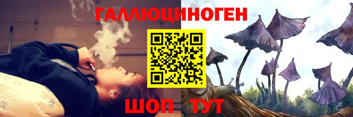 Галлюциногенные грибы MAGIC MUSHROOMS  Галлюциногенные грибы Psilocybe  Вход с VPN  где купить наркотик  Богданович 