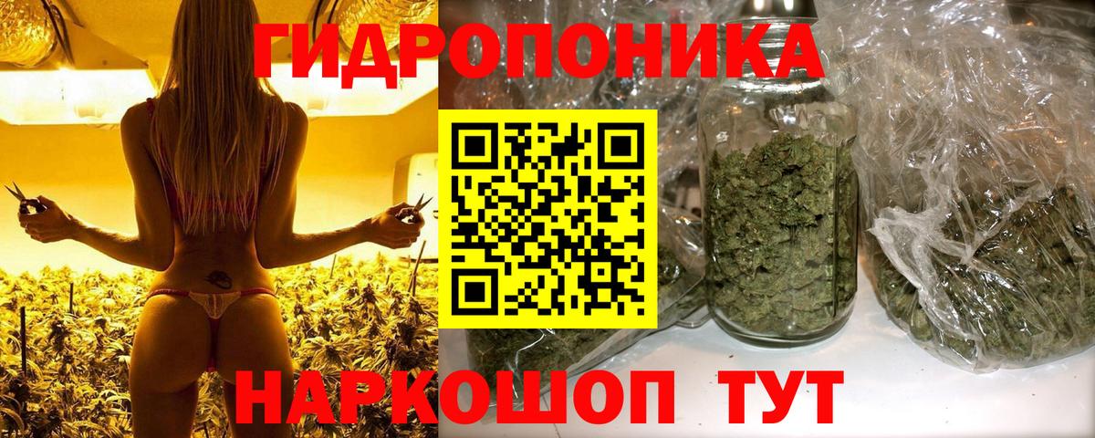 Шишки марихуана планчик  Каннабис OG Kush  МАРИХУАНА тримм  Богданович  Марихуана Amnesia  Вход с VPN 